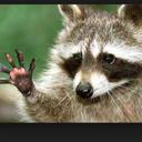 Abhi Prasad - @akprasad25 - Twitter