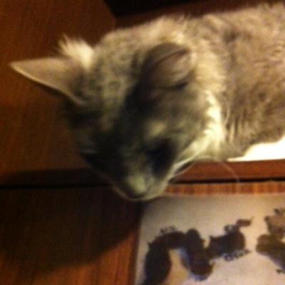 Castle講座で調剤事務についての講師をしています。botと手動で動いています。質問はDMして下さいね。