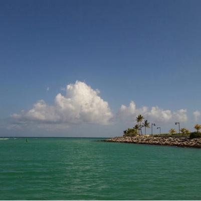 gacev001's profile picture. 