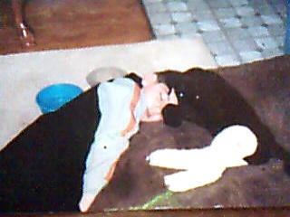 loyaltoanimals's profile picture. I am a single mom of 3 boys,realizing just how many unwanted animals there r in this world