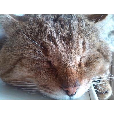 artemhockey2003's profile picture. 