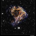 Todd Mayes - @1Aristotle - Twitter