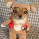 Héctor Marino - @elpomo562 - Twitter