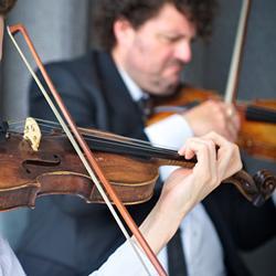 StringMusicians's profile picture. String Musicians Australia - Australia's Leading String Quartet & Ensemble Booking Agency