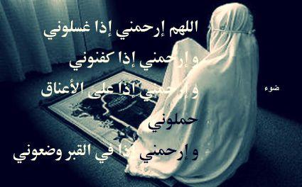 nn_nwal558's profile picture. 