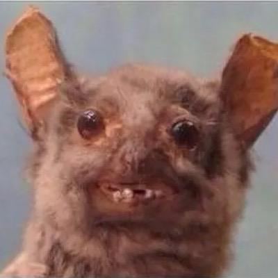 HolyNuggets77's profile picture. raise a little hell