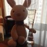 GreenSugitama's profile picture. Hanging with bunny pals looking for good sake & the occasional carrot. SEC Advanced Sake Professional, WSET L3 Sake, Kikisake-shi 利酒師