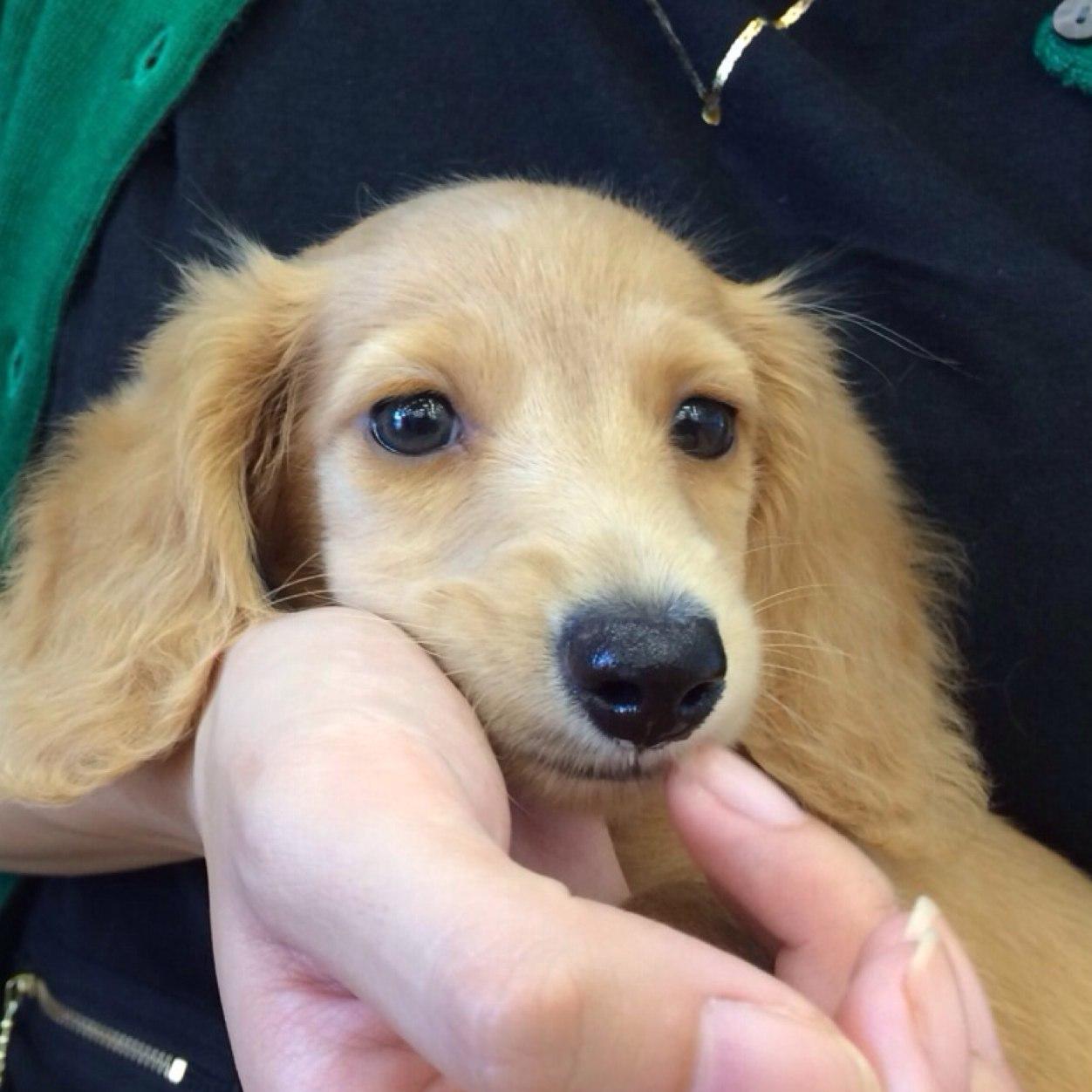 Mirio5o4's profile picture. よろしくお願いします。