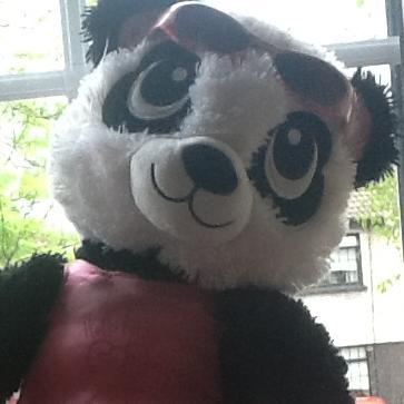 pandacam_89's profile picture. Hi I'm Pandy! I do videos on Beartube. I am sharing more of my life by joining Twitter! Thanks for Stopping By!