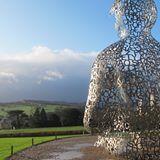 Stevebudgie64's profile picture. 