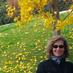C. Allott (@crilott) Twitter profile photo