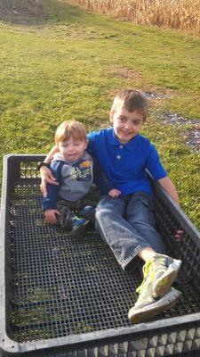 MaryWortman's profile picture. 