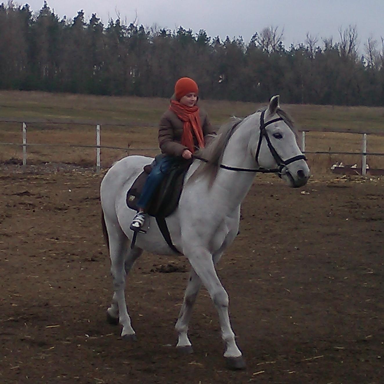 sokolovski2233's profile picture. 