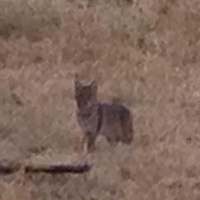 Flake1959's profile picture. 