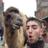 josevi_sv's profile image