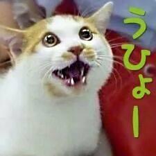 相互フォロー募集中。とともに、