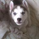 stacy cullen - @stacycullen52 - Twitter