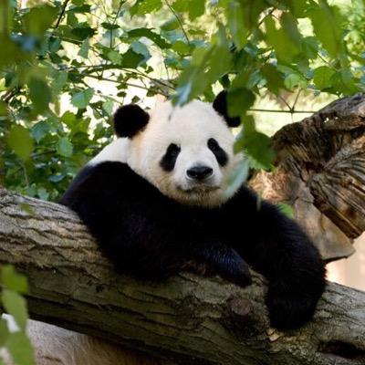 Emjj485's profile picture. Progressive California Democrat - Best Wishes to our new President Biden and VP Kamala Harris - Bye Bye 👋🏼 to Trump 😝