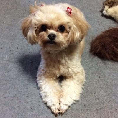 hidekuma48's profile picture. 