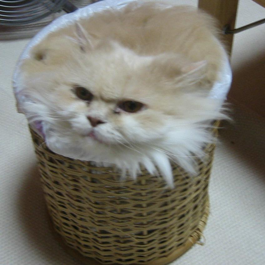 吹き出す画像 G O D Level Twitter 吹き出す画像 G O D Level Twitter