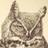 BizTechAways's profile image