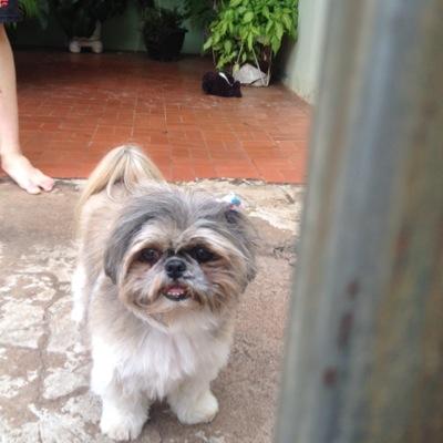 um brinde a vida!