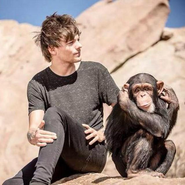 1 April 2015 ♥ I Love You all My Twitter Tweeties xxx 5SOS, The Vamps, 1D ....
