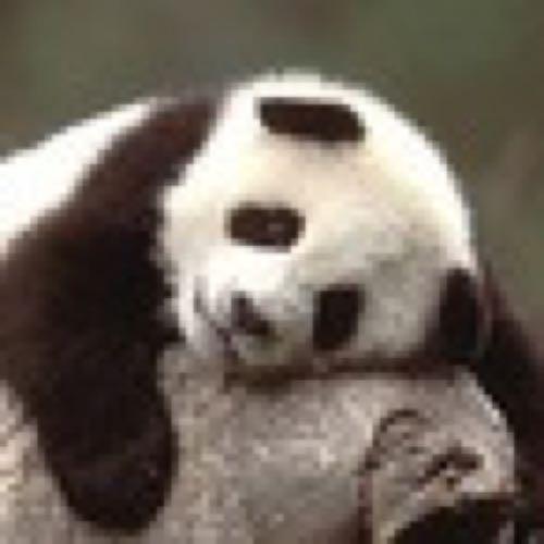may_may_'s profile picture. 飲んだり食ったり映画観たり走ったり本読んだり。時々やさぐれますが仕様です。かたいプリン党。中国語勉強中。 我爱台湾。