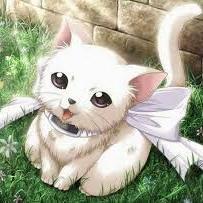 손이 많으면 일도 쉽다.^^