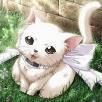 고양이 쥐을 뒤쫓다 ㅋㅋㅋ