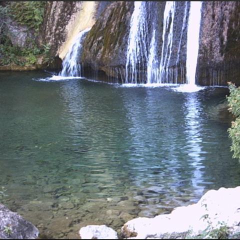 josepcarcar's profile picture. 