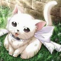 강아지