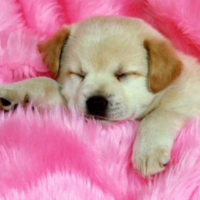 CWaerniers's profile picture. 