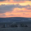 Dale Morgan - @DaleMorgan7 - Twitter