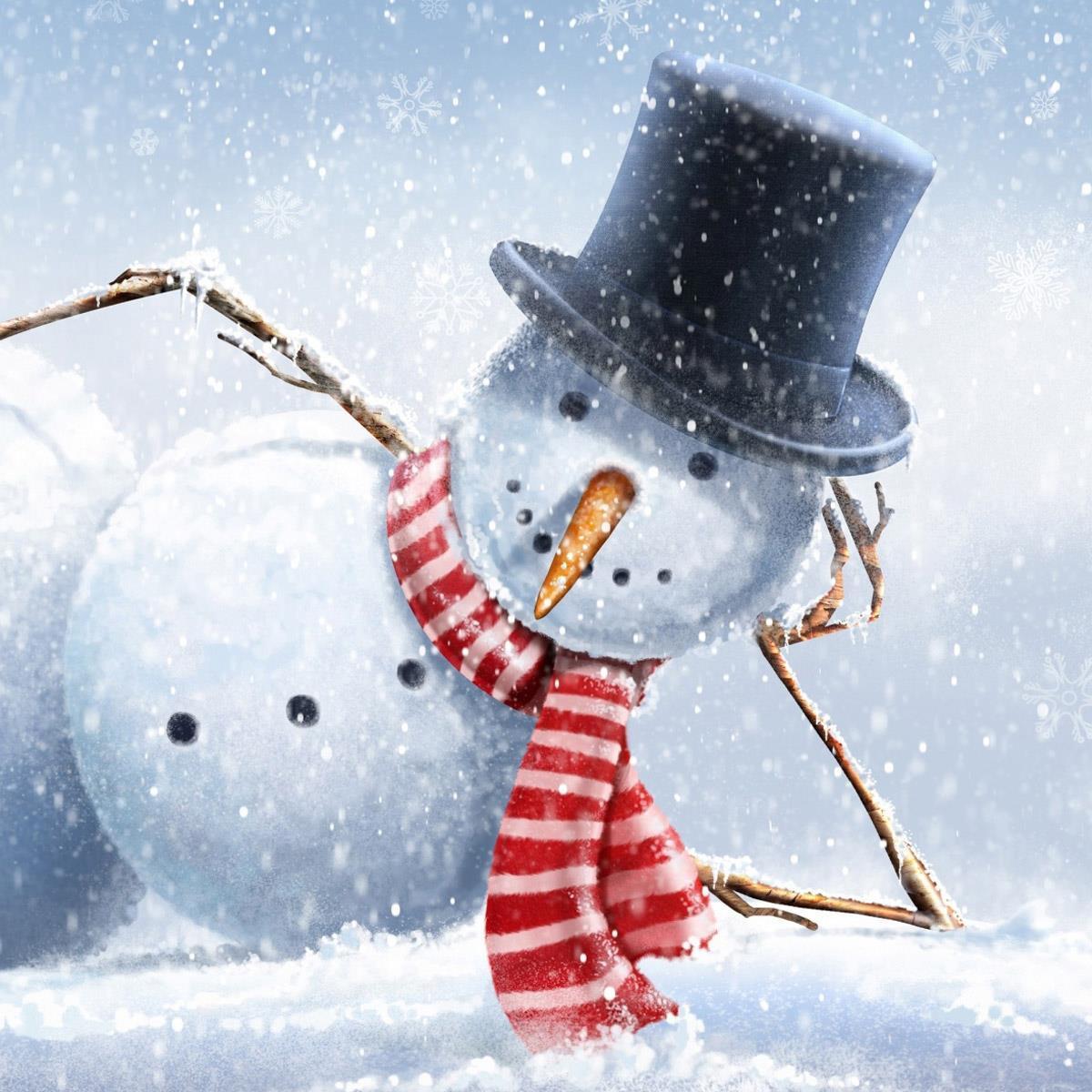 11bunnycr's profile picture. 