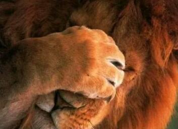 PhotoTeez2's profile picture. You think it, we ink it!