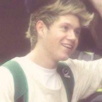 free follow! main acc - @salutehoran - ask for a follow back!