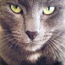 kevin condit - @lordkevinnn - Twitter