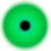 Pinus (@silvaviridis) Twitter profile photo