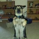 Tim Blackwell Jr - @tbkb4800 - Twitter