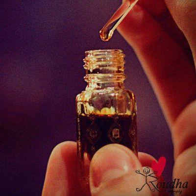 mm0246813's profile picture. bent U_A_E