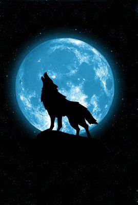 bbc_63's profile picture. ……