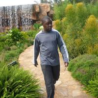 Kingsley (@chikaphupha) 's Twitter Profile