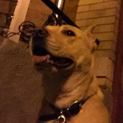 F1NSTER52's profile picture. No Role Modelz...