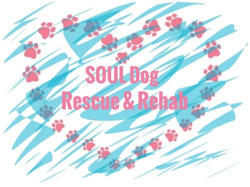 soul rescue soul rescue souldogrr soul rescue soul rescue souldogrr