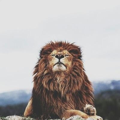 krahbz's profile picture. 