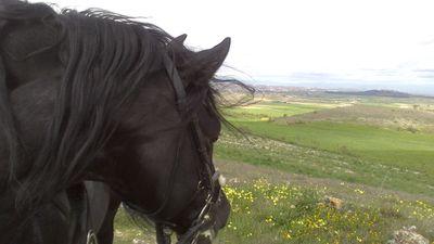 moyanojm1's profile picture. 