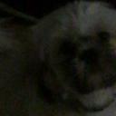 Ben Wilton - @237428ec5f6e47c - Twitter