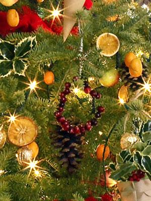 Great_Christmas's profile picture. GreatChristmas GreatYarmouth