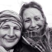 Alice Haining (@alicejhaining) 's Twitter Profile